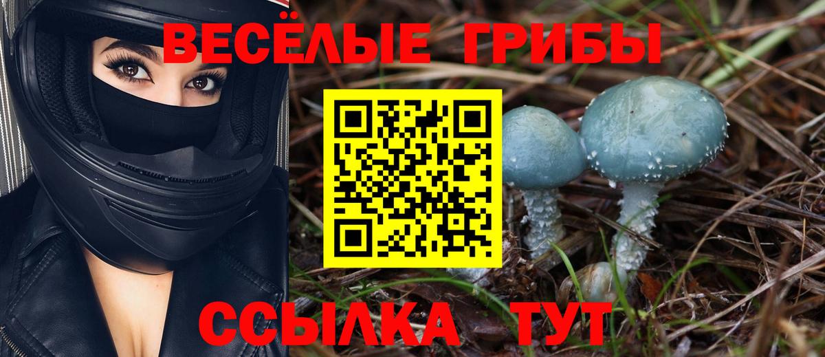 Галлюциногенные грибы прущие грибы  что такое наркотик  Заводоуковск  Вход с VPN  Галлюциногенные грибы MAGIC MUSHROOMS 